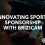 Innovating Sports Sponsorship with BriziCam